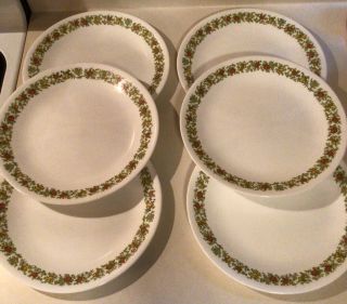 (7) Seven Corelle Spice Of Life Salad Lunch Plates 8 1/2 "