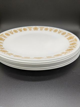 Corelle Butterfly Gold Dinner Plates Set Of 7