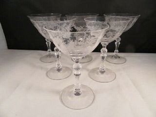 6 Vintage Fostoria Chintz Etched Crystal Champagne /tall Sherbet Glasses Coupes