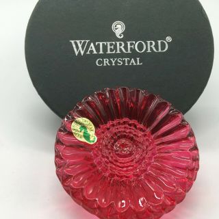 Waterford Gerber Daisy Pink Flower Paperweight Crystal Germany 139947 Boxed
