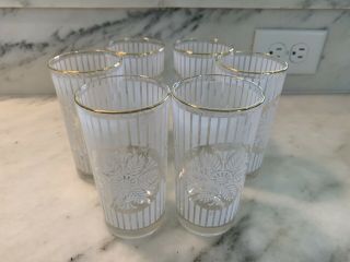 Vintage Set 6 Mid Century Drinking Glasses Barware White Stripe Flower Gold Trim