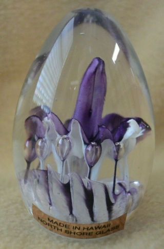 Glass Egg PURPLE Paperweight by North Shore Glass HAWAII 2