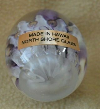 Glass Egg PURPLE Paperweight by North Shore Glass HAWAII 3