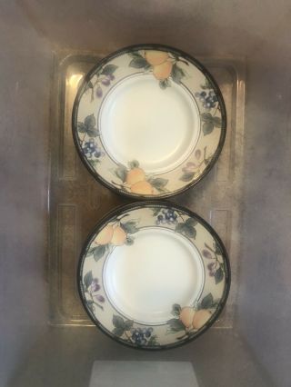 10 Mikasa Intaglio Garden Harvest Bread/dessert/saucer Plates 6 Inches