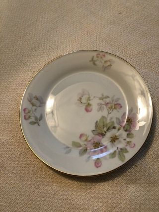 Tirschenreuth Bavaria Germany Apple Blossom Bread & Butter Plate 6 " Dia 6 Avail