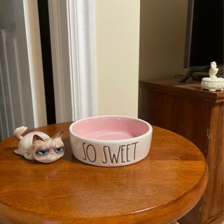 Nwot Rae Dunn So Sweet Small Stoneware Pet Bowl Ceramic White And Pink