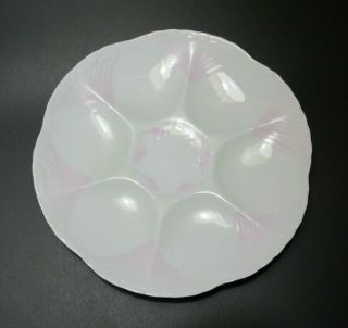 Vintage Pink / White Oyster Plate With False 
