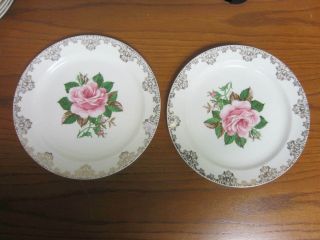 2 Vtg - Paden City Pottery " American Rose " Dinner Plates - 9 1/4 " With 22k Gold Trim