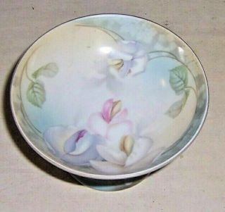 Regina Ware Germany 5 Inch Hand Painted Fine Porcelain Stemmed Flowered Dish