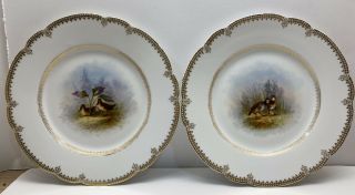 2 Delinieres & Cie Limoges D&c France Hand Painted Plates W/ Birds 9 - 1/4”