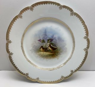 2 Delinieres & Cie Limoges D&C France Hand Painted Plates w/ Birds 9 - 1/4” 2