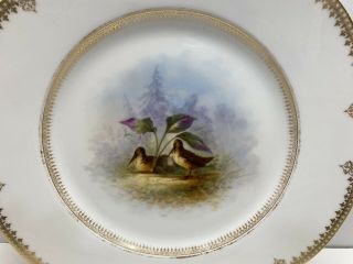 2 Delinieres & Cie Limoges D&C France Hand Painted Plates w/ Birds 9 - 1/4” 3