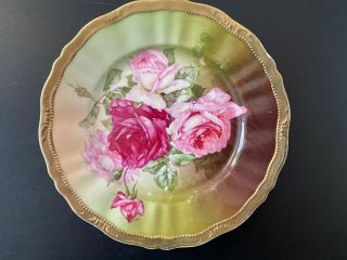 C.  T.  Germany Hand Painted Rose Gold Trim Plate 9.  25 "