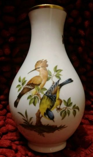 Vintage Ak Kaiser West German Porcelain Vase Tiergarten Exotic Birds/butterflies