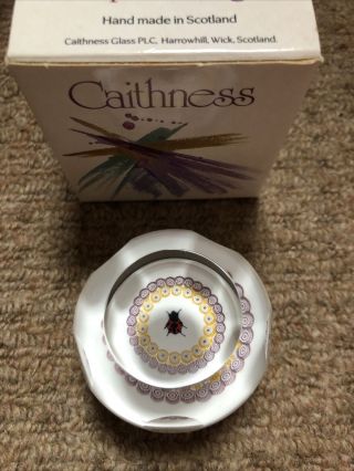 Caithness Glass Paperweight Miniature Ladybird Complete