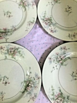 Set Of 4 Theodore Haviland Limoges Apple Blossom Bread Plates