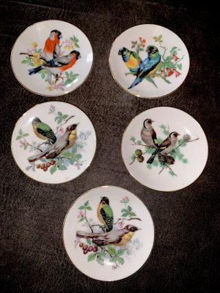 Vintage Set Of 5 Small Porcelain Dishes With Bird Images 14k Gold Trim