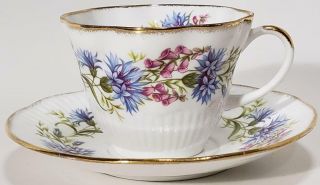 Mid Century Royal Minster Bone China Teacup And Saucer,