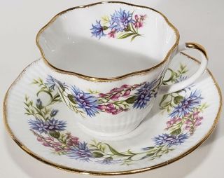 Mid Century Royal Minster Bone China Teacup and saucer, 2