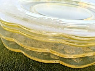 1930 ' s Yellow Cambridge Depression Glass Etched Apple Blossom Dinner Plates 10 