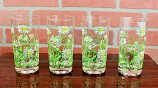 Vintage Daisy,  Wild Flowers Glass Tumbler Set Of Four Drinking Glasses