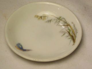 Miniature Vintage Haviland & Co Limoges H&c Plate 2 7/8 " Dish Butterfly Detail