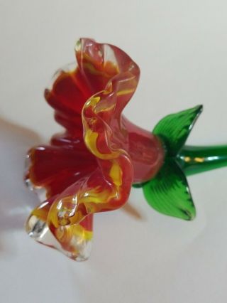 Vintage 19.  5 " Hand Blown Glass Red&yellow Scalloped Trumpet Flower Long Stemmed