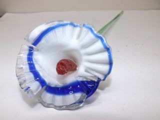 Art Glass Cobalt Blue Swirl White Ruffled Red Long Stem Glass Flower 19 "