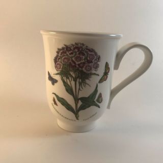 Portmeirion Botanic Garden Susan Williams - Ellis Dianthus Barbatus Coffee Tea Mug