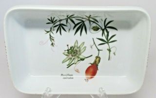 Louis Lourioux Le Faune Vesca Passiflora 9 " Rectangular Baker France -