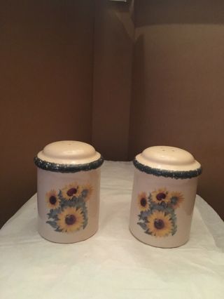 Home And Garden Party Stoneware Salt And Pepper Shakers Ref.  16a