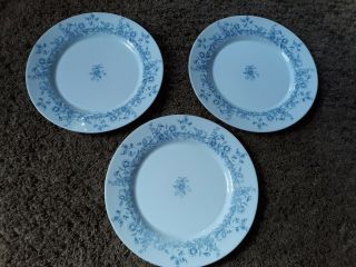 Arcopal France Glenwood Set Of 3 Dinner Plates 10 3/4 " Blue Flowers Rimmed