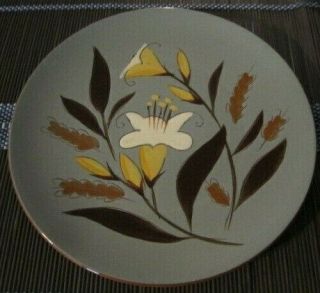Single Stangl Dinner Plate Golden Harvest Pattern Old Great Shape