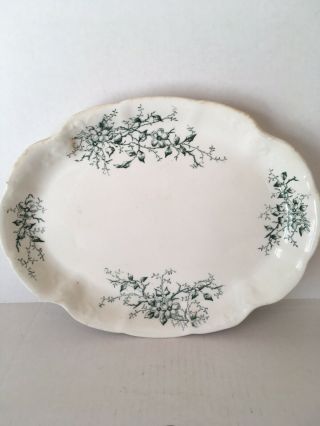 Kt&k Semi - Vitreous Porcelain Knowles Taylor & Knowles Oval Platter Green Flowers