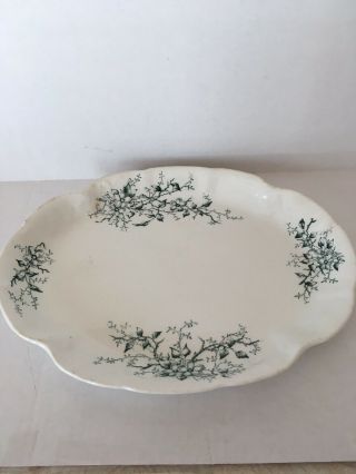 KT&K Semi - Vitreous Porcelain Knowles Taylor & Knowles Oval Platter Green Flowers 2