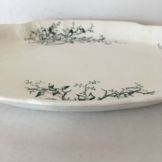 KT&K Semi - Vitreous Porcelain Knowles Taylor & Knowles Oval Platter Green Flowers 3