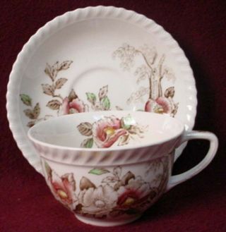Johnson Brothers China Appleblossom Brown Multicolor Cup & Saucer Set 2 - 1/4 " Cup