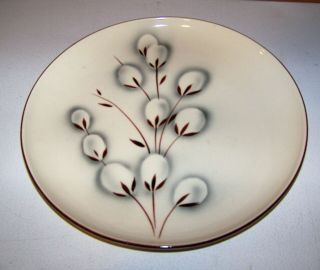 Winfield Ware Pussy Willow Mid Century China Dinner Plate 10 1/4 "