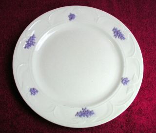 Adderley (chelsea Smooth Embossed) 8 5/8 " Luncheon Plate (s) Guc (5 Avail)