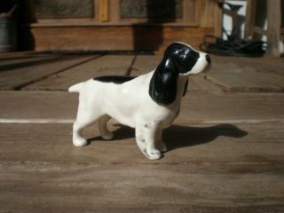 Beswick England Springer? Cocker? Spaniel Black White Porcelain Hunting Dog,  W@w