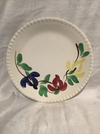 Blue Ridge Handpainted Carnival Pattern 9 1/2” Plate Southern Potteries Inc
