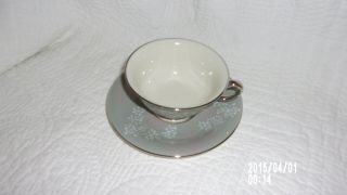 Vintage Castleton China Lace Pattern Footed Cup And Saucer/excellent