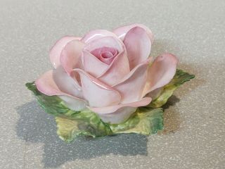 Crown Staffordshire Pink Flower Rose Bone China Made England Vintage Porcelain