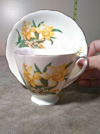 Colclough Bone China Cup And Saucer Yellow Daffodils Gold Trim Hand - Painted