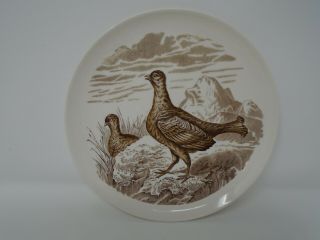 Vintage Brown Copeland Spode Blackcock Wild Game Bird No.  4 Plate