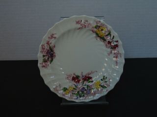 Vintage Copeland Spode " Fairy Dell " White Porcelain Bread & Butter Plates - 6.  25 " L