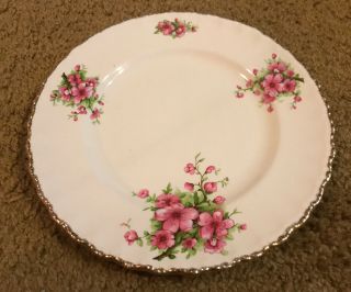 Grindley England Cream Petal Vintage Dinner Plate Dogwood Floral=====ak