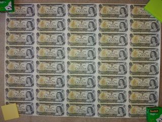 Uncut Sheet Of 40 Uncirculated Canadian One Dollar Bills $1 (1973)