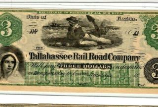 $3 " Florida " 1800 