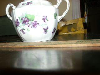Adderley Fine Bone China Sugar W/lid Violet Pattern - Made In England
